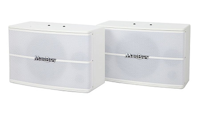 Пассивная акустическая система Madboy SCREAMER-410W — комплект 2 шт.